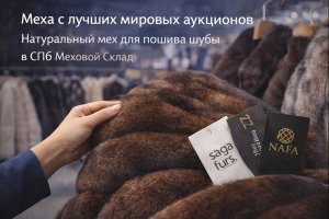 Меха с лучших мировых аукционов: натуральный мех для пошива шуб и особенности мехового рынка в Санкт-Петербурге