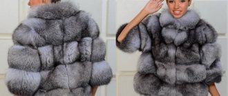 Girl in a silver fox fur coat