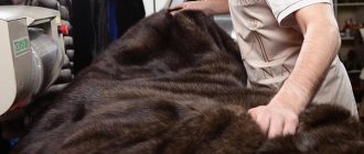 where to get a fur coat examined