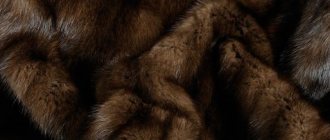 How to distinguish mink fur from fake