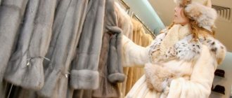 How to choose quality fur