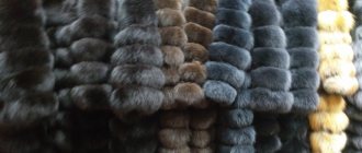 How to choose an arctic fox coat? 1 
