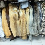 Where can you donate your old fur coat?