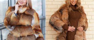 Fox fur coat photo