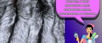 Arctic fox fur