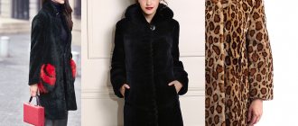 Mouton fur coat photo