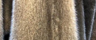 The photo shows a close-up of mink fur. Store dubaifurs.ru 