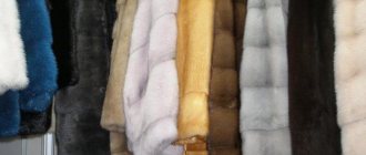 Pyatigorsk fur market prices
