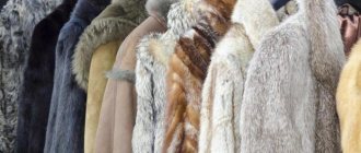 fur coat restoration