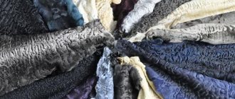 Шубы из каракуля 2018-2019: модные фасоны