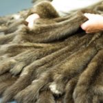 Fur coats in Italy