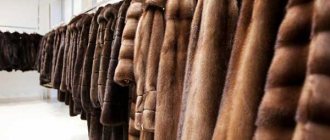 fur coats in Moscow