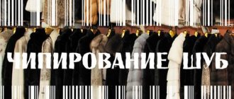 Все о чипировании шуб: что это и зачем?